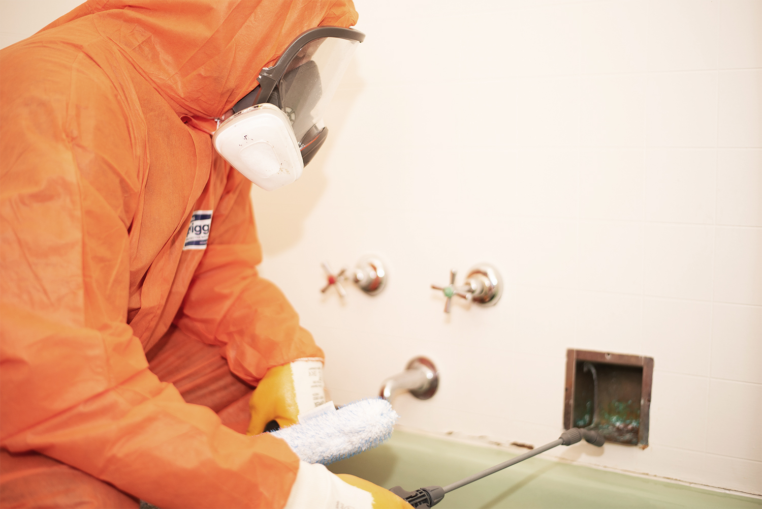 Mould Remediation