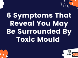 6 Toxic Mould Warning Signs