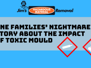 The Toxic Mold Nightmare