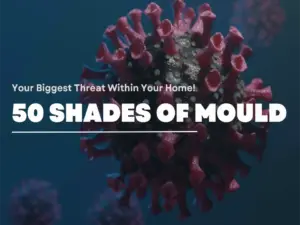 50 Shades Of Mould – Your Biggest Threat Within Your Home